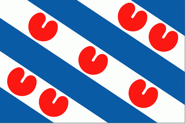 Hollex Friese vlag 30x45cm (VLNLFR030045)