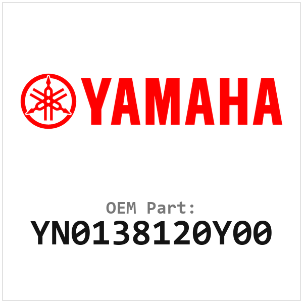 YN0138120Y00