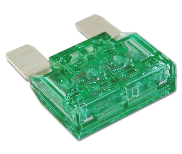 Ripca zekering Maxi 30A groen (10) (ZEKMAF030-DS10)