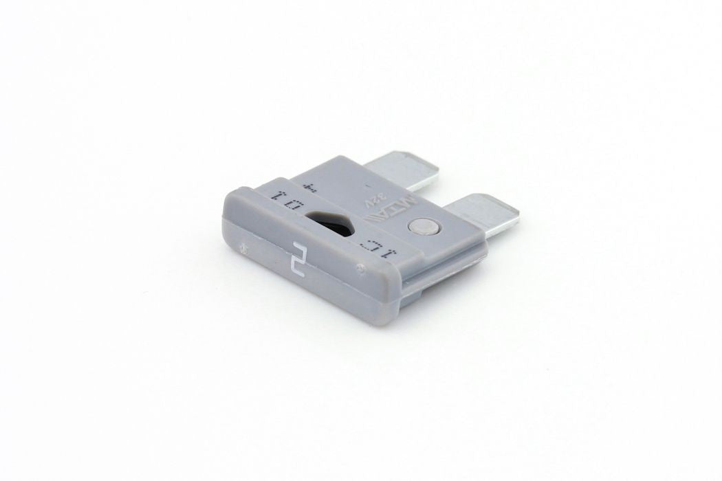 Ripca zekering STD ATC 2A grijs (50) (ZEKRF02L-DS50)
