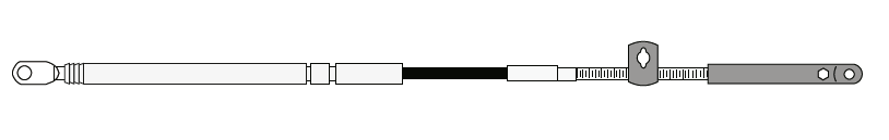CCX18911