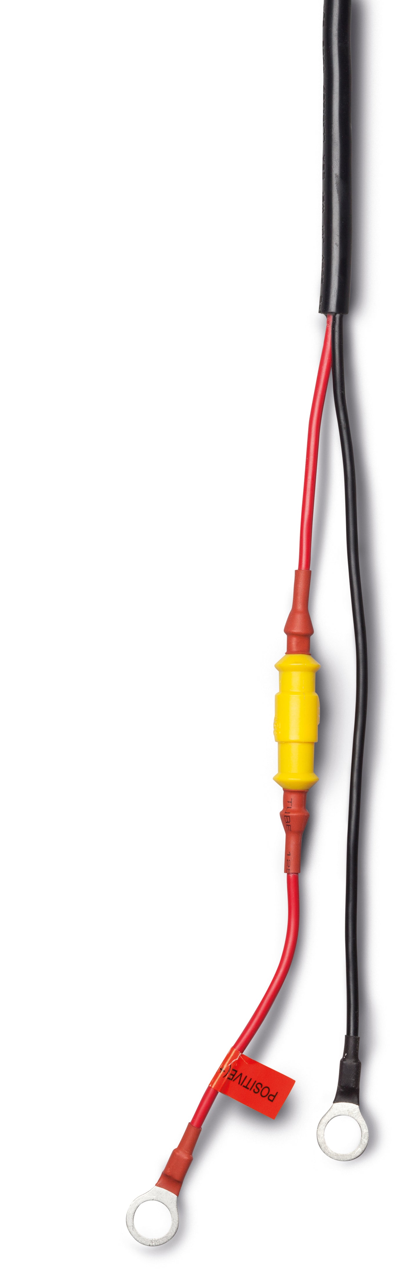 Mastervolt EasyCharge acculader 6A (43310600)