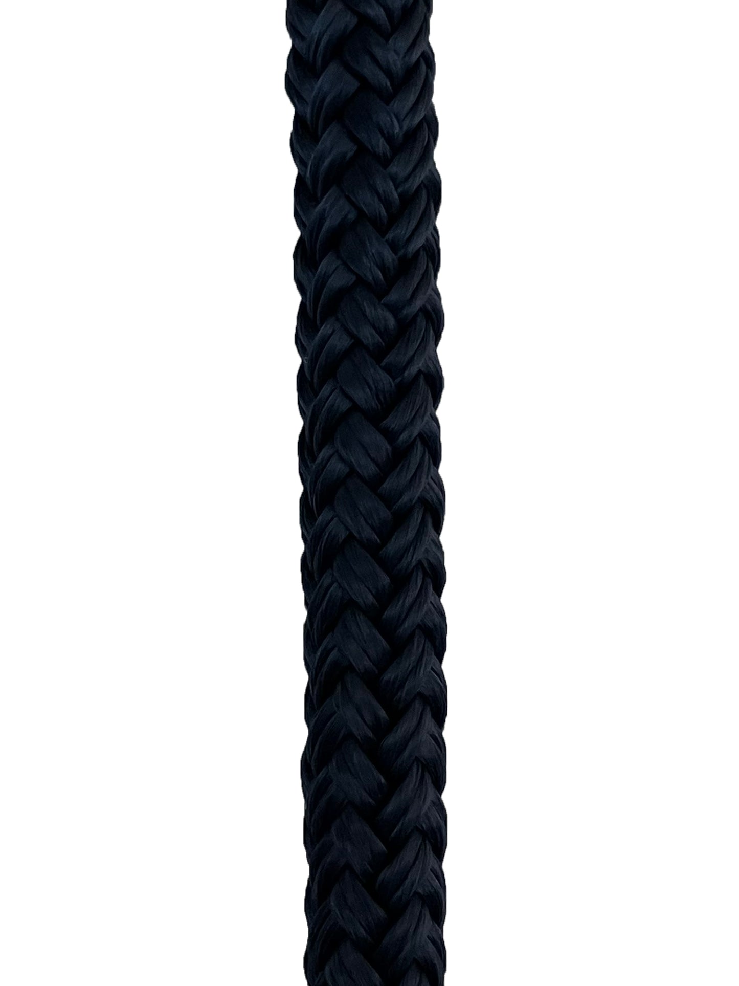 Hollex landvast navy 10mm 16 strengen L=6mtr (LVN1006PP)