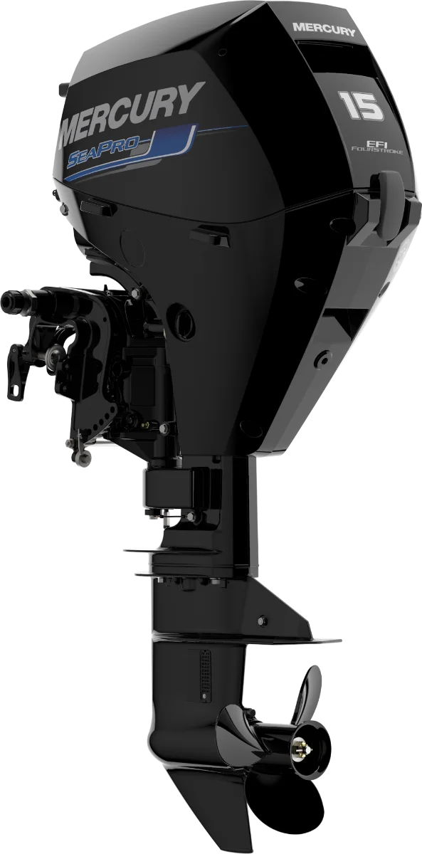 Mercury F 15 SeaPro