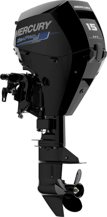 Mercury F 15 SeaPro