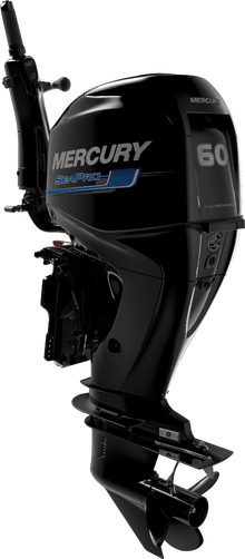 Mercury F 40 SeaPro