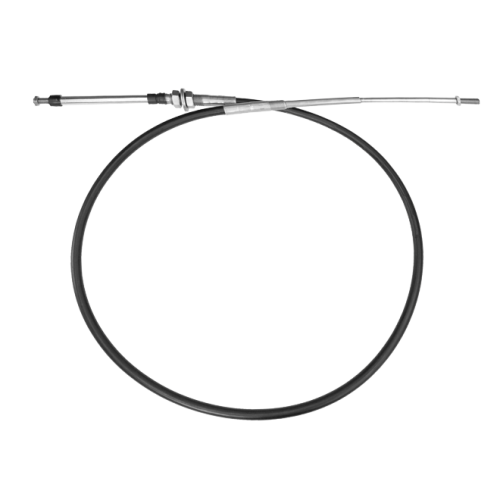 SSC21906