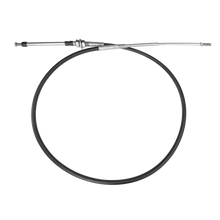 SSC21906