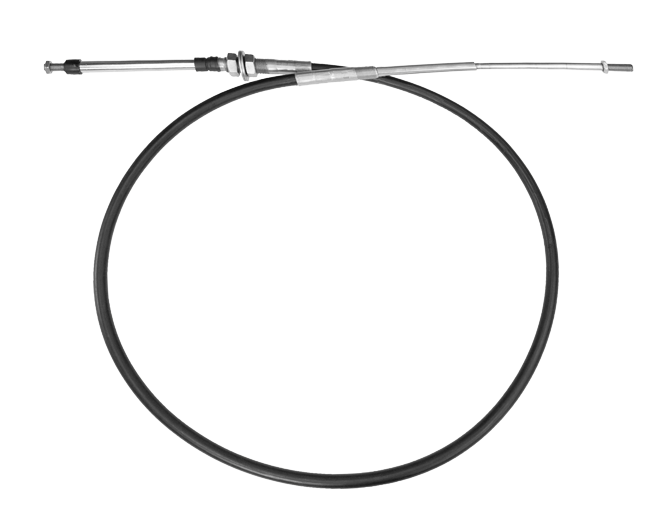 SSC21908