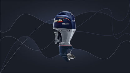VF175LB-XB